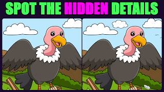 Only 1% Can Spot All Differences | 5 Rounds (HARD) Spot the Difference Challenge 😱 [90 Seconds Each]