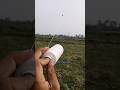 Kite flying direct from rollkite testing pro kite fightingkite patang kiteflying 