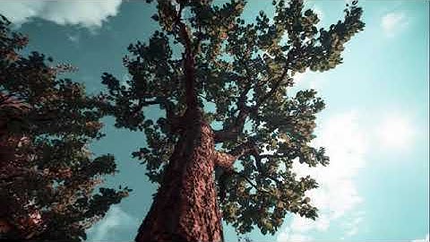 تلاوة جميلة صوت يحلق بك إلى عالم الخشوع