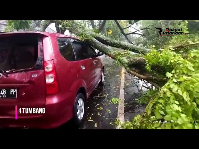 Sebuah Mobil Tertimpa Pohon di Ciamis Akibat Hujan Deras Disertai Angin Kencang Melanda Priangan