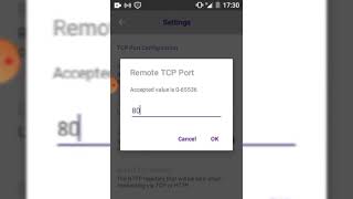 Non proxy settings by Automatically screenshot 4