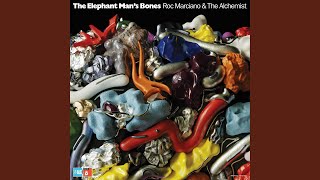 The Elephant Man&#39;s Bones