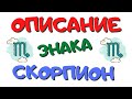 Описание знака Зодиака Скорпион