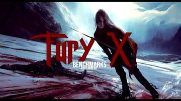 AMD Fury X Benchmarks (390X Benchmarks Included)