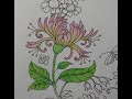 Adult Colouring Tutorial Honeysuckle - from Johanna Basford 2021 Weekly Planner / World of Flowers