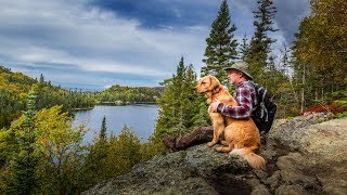 Mushroom HUNTING in the FOREST at the Off Grid LOG CABIN