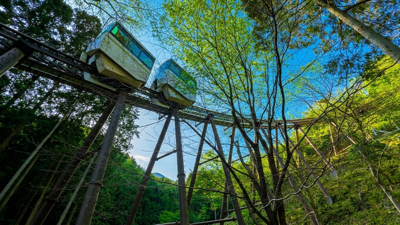 【運賃無料!】超低速ジェットコースター?兵庫の山奥で運行する謎の乗り物