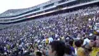 LSU - Florida 2005, LSU Student Section