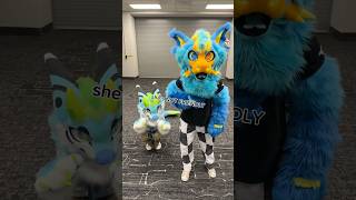 IM NOT FRIENDLY (lol) #furry #fursuit
