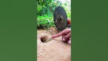 DIY Saw Blade Ground Trap Explained! #Shorts #DIYTrap #survivalskills