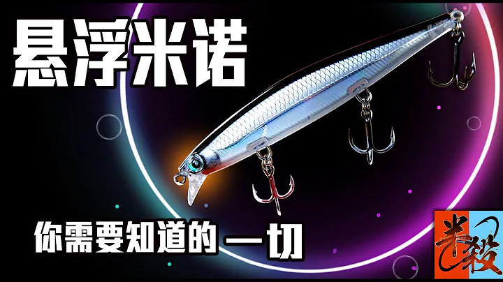 路亞硬餌懸浮米諾 | 關於jerkbait你需要知道的一切（水底畫面講解實釣與改裝）#半殺 #路亞 #釣魚 - 天天要聞