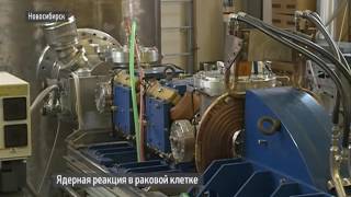 Видео Новосибирские ученые планируют внедрить в практику (автор: Вести Новосибирск)