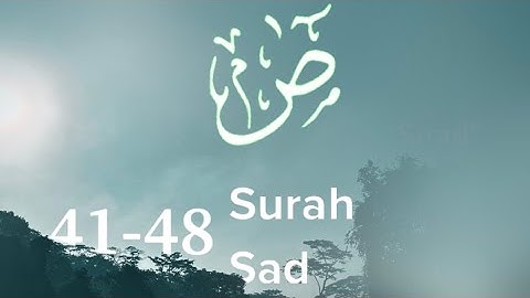سورة ص آية 41-48