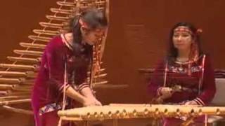 Vietnamese Ethnic Instruments (K'loong-Put) - Spring Coming - VYFB Performed in Japan