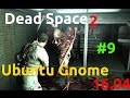 Любимые игрули [2.5.10] - Dead Space 2 на Ubuntu part9