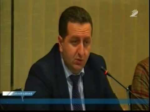 საზღვაო ტრანსპორტის სააგენტოს დირექტორი - მამუკა ახალაძე ეკონომიკური პოლიტიკის კომიტეტზე (1 ნაწ.)