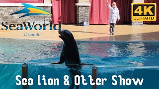 Sea Lion & Otter Spotlight Full Show SeaWorld Orlando 2023 4K Video