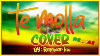 Arnon - Te Molla (COVER) Reggae Version