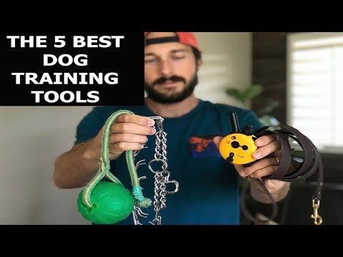 Wideo: Top Five Must-Have Dog Training Tools