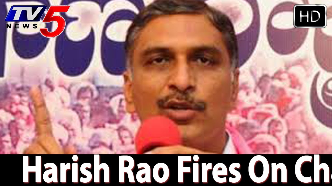 Harisha Rao Fire On Chandrababu Naidu -  TV5