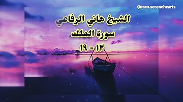 الشيخ هاني الرفاعي سورة الملك ١٢-١٩