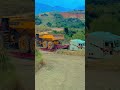 Transporte de maquinaria pesada en todo terreno