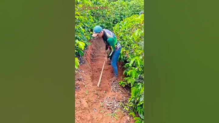 "Essential Soil Preparation Techniques for Healthy Plant Growth"#SoilPreparation #GardeningTips thumbnail