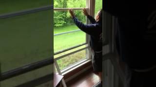 Washing Window World windows