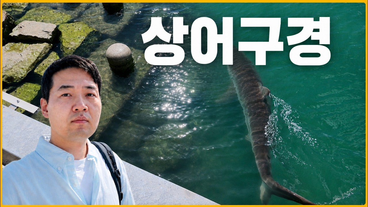 동영상 재생