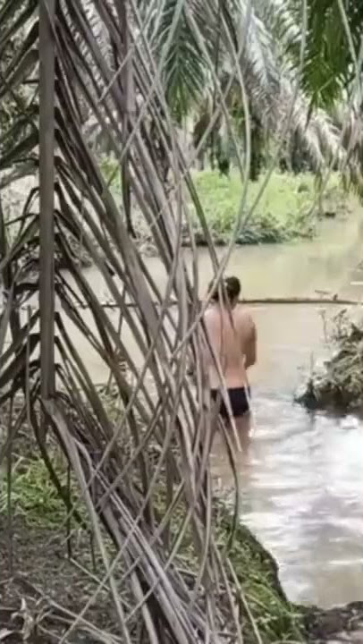 mancing ambyar di kebun sawit  #mancingambyar #fyp #viral #shorts