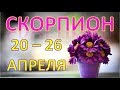 ♏СКОРПИОН♏. 🌿 С 20 по 26 АПРЕЛЯ 2020 г. ☯️ ТАРО ПРОГНОЗ 🌟