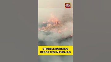 Stubble Burning Resurfaces in Punjab’s Tarn Taran