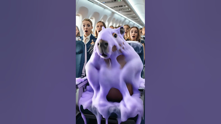 卡皮巴拉在飞机上揉出好多紫色泡沫  Capybara rubbing a lot of purple foam on the plane #capybara #funny #animals