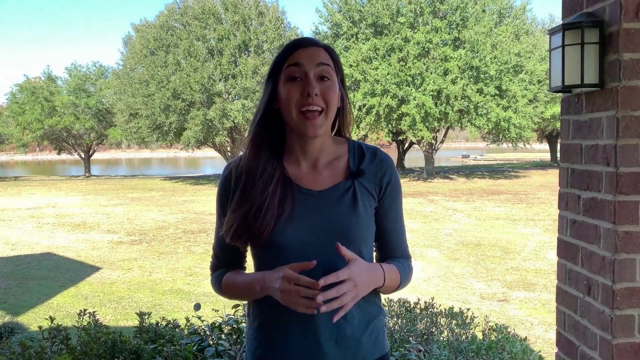 About BaccOff's Quit Dipping BOOTCAMP - YouTube