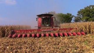 Two Case IH 9240 Combines with 4416 16 row Corn Heads