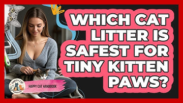 Which Cat Litter Is Safest For Tiny Kitten Paws? - Happy Cat Handbook