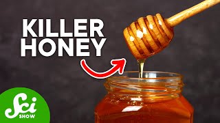 How Honey Can Fight Deadly Bacteria