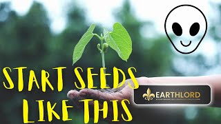 ANYONE Can Start Seeds Using This New Method