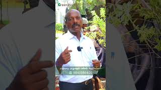 சந்தனமரம் வளர்க்கும் விதிமுறைகள் | Complete Guide to Growing Sandalwood Trees at Home சந்தனமரம் வளர்க்கும் விதிமுறைகள் | Complete Guide to Growing Sandalwood Trees at Home