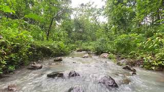 River Flowing 2026, Peaceful Forest Ambience for Deep Sleep and Mind Relaxation