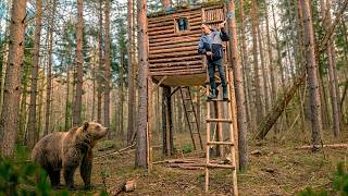 The Treehouse saved my life from a Bear
