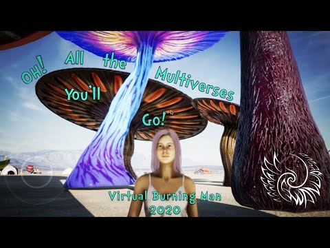 OH! All the Multiverses You'll Go - Virtual Burning Man 2020