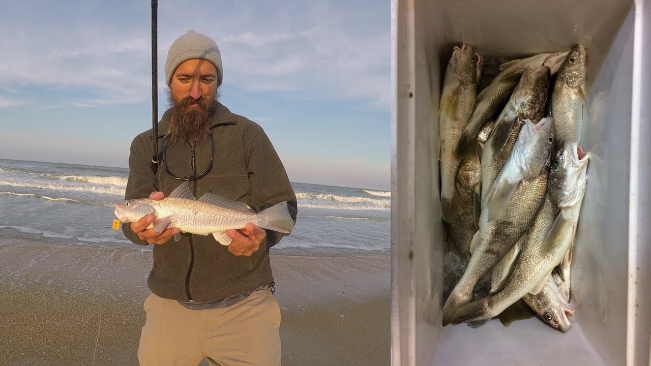 Surf Fishing Cooler of whiting YouTube