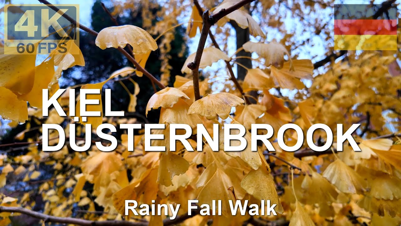 KIEL-BRUNSWIK 🇩🇪 in 4K | 2025 | Winter Rain around Holtenauer Straße