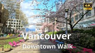 Details ☀️Sunny Spring Walk in Downtown Vancouver 🇨🇦 | Burrard,Gastown & Canada Place | Cherry Blossoms 4K Update
