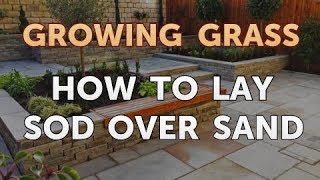 How to Lay Sod Over Sand