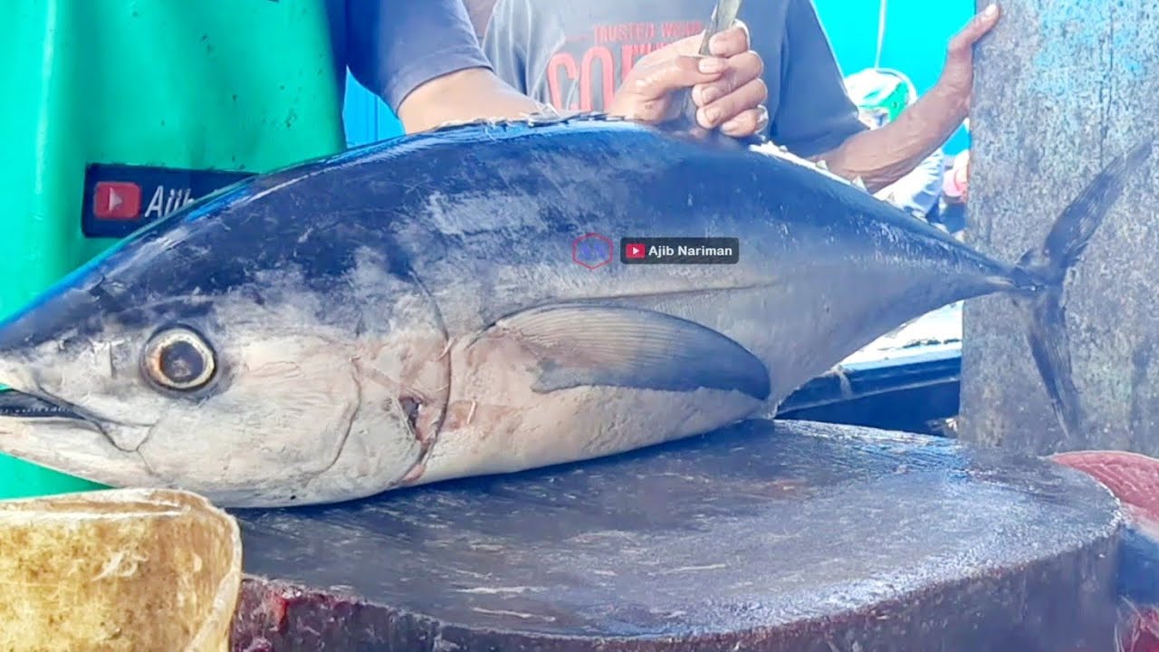 Cutting Fresh Tuna ‼️ Skills This young man cuts tuna for the Yellow