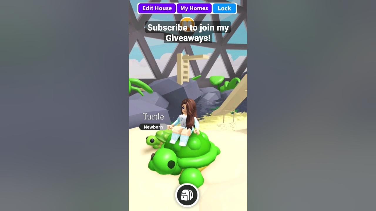 How to build a TURTLE in Adopt me! EASY! aussieEgg Speedbuild YouTube