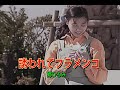 (カラオケ)誘われてフラメンコ / 郷ひろみ