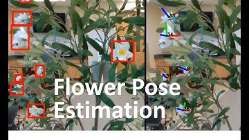 FloPE: Flower Pose Estimation for Precision Robotic Pollination